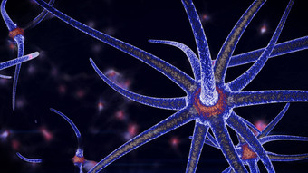 章鱼蓝色的神经元