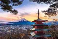 美丽的具有里程碑意义的富士山Chureito宝塔日落日本