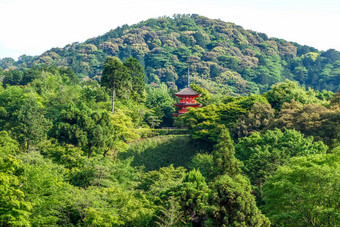 宝塔清水寺寺庙《京都议定书》日本