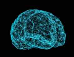 x射线图像人类大脑