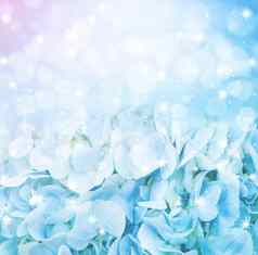 蓝色的绣球花背景