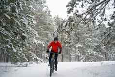 骑自行车的人红色的骑山自行车美丽的冬天森林极端的体育运动复古骑自行车概念