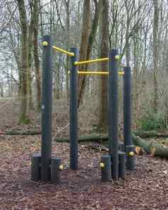健身设备森林阶段