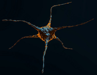 摘要插图神经元