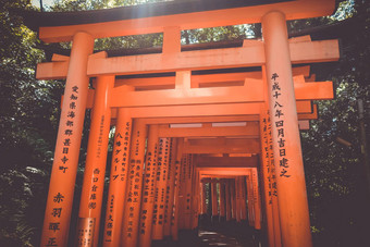 伏见inari大社鸟居《京都议定书》日本