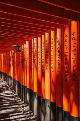 灯笼伏见inari大社神社《京都议定书》日本