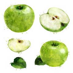 绿色苹果白色背景水彩插图