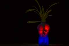 蓝色的花瓶形状的男人。植物发光的光闪亮的真正的透明的玻璃象征心