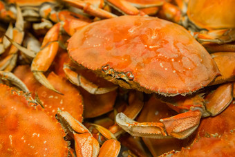 煮熟的螃蟹背景