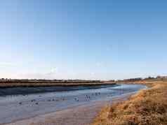 流河景观视图蓝色的水海岸埃塞克斯河口