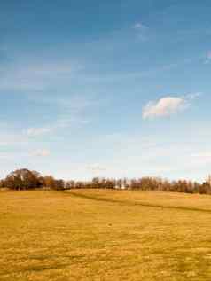 巨大的开放平原农场场草农业英格兰蓝色的天空之前