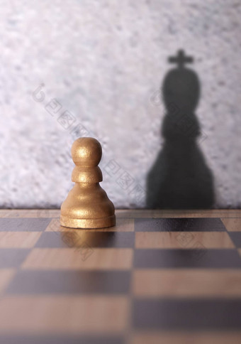 国际象棋王影子