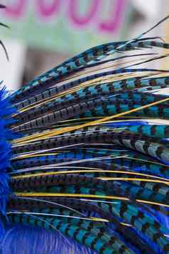 色彩斑斓的羽毛狂欢节西装