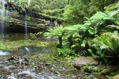 华丽的罗素瀑布飞溅场国家公园塔斯马尼亚澳大利亚