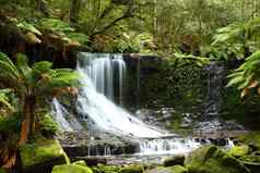 华丽的罗素瀑布飞溅场国家公园塔斯马尼亚澳大利亚
