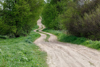 农村农村森林路径