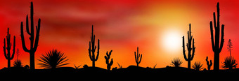 墨西哥<strong>沙漠</strong>日落