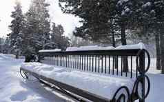 板凳上覆盖新鲜的雪城市公园风冬天阳光明媚的早....