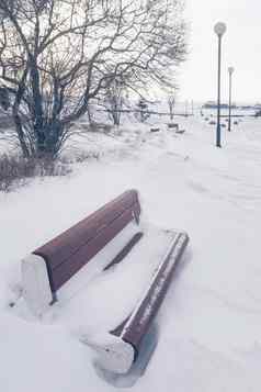 雪覆盖公园冬天长椅树