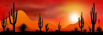 日落太阳沙漠
