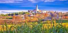 Istrian小镇维斯扬全景色彩斑斓的视图