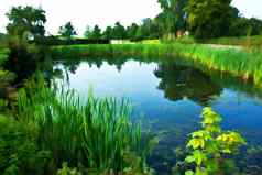 美丽的农村湖春天夏天景观数字艺术