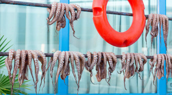 新鲜的抓住了章鱼挂户外晒干的烹饪海