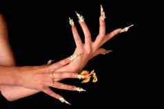 人类手指长指甲美丽的修指甲孤立的黑色的