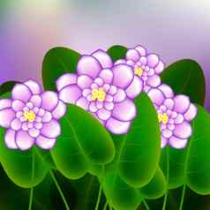 春天背景开花早午餐非洲紫罗兰花