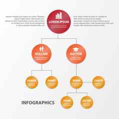 业务infographics圆折纸风格工作流布局横幅图数量选项一步选项网络设计