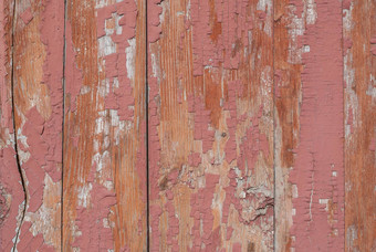 木表面裂缝剥油漆粉红色的纹理背景