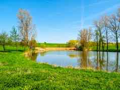 小池塘行树中间绿色农村景观阳光明媚的夏天一天