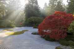 太阳射线日本平沙子花园秋天