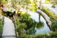 美丽的桥湖绿色公园美丽的池塘人行天桥包围树花