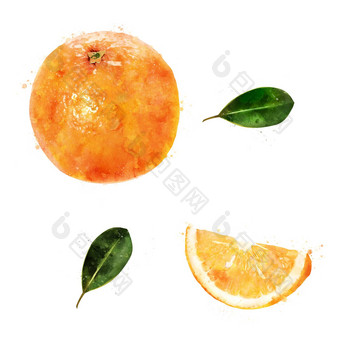 橙色白色背景水彩插图