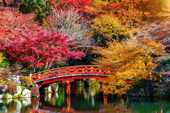 秋天季节日本美丽的秋天公园