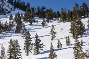 山坡上滑雪庞大的湖泊加州1月