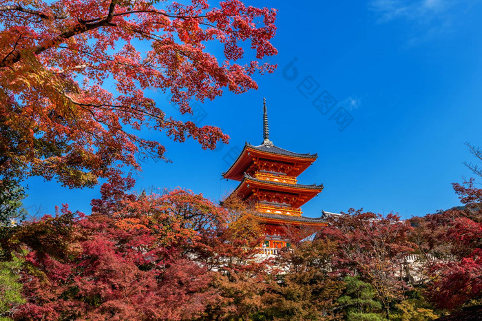 清水寺秋天《京都议定书》日本