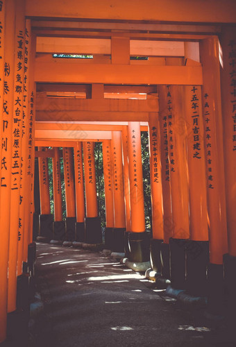 伏见inari大社鸟居《京都议定书》日本