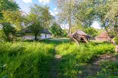 清洁绿色院子里小屋树山博物馆日常生活乌日霍罗德乌克兰