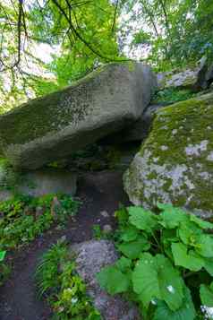 巨大的山石头巨石杂草丛生的莫斯绿色植物
