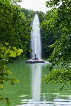 美丽的喷泉透明的流水打上衣树日益增长的海岸池塘