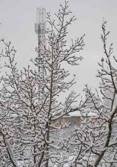 树散落雪站距离房子