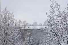 白雪覆盖的树屋顶房子背景冬天灰色的城市