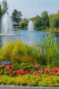 花床上小五彩缤纷的花装饰石头背景湖喷泉梅日戈里耶乌克兰