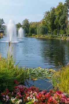 喷泉湖水百合已经包围绿色树草坪花蓝色的万里无云的天空