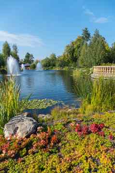 迷人的视图池塘喷泉清晰的水很酷的热夏天一天树花日益增长的海岸