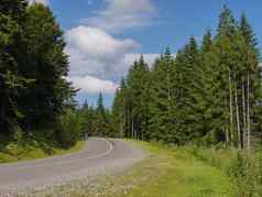 转左森林沥青路绿色松树蓝色的多云的天空的地方休息旅游野餐