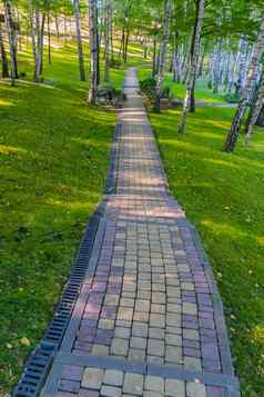 长椅狭窄的路径排瓷砖绿色公园计划
