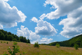 深蓝色的天空白色云低杂草丛生的梅多斯杂草丛生的花草本植物美丽的夏天一天景观自然